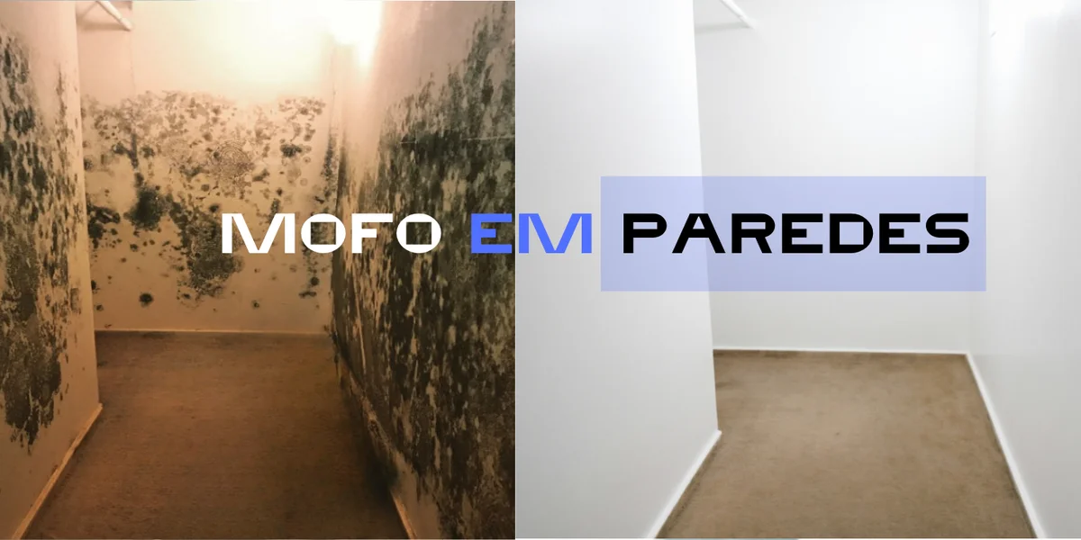 Equipamentos profissionais de engenharia diagnóstica sobre parede com mofo estrutural