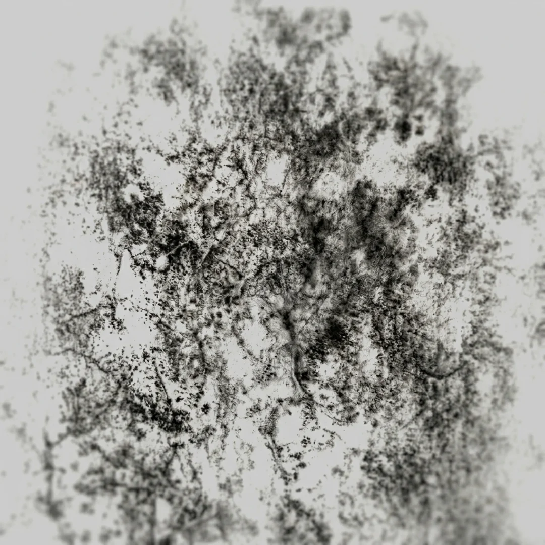 Mofo por condensação ambiental